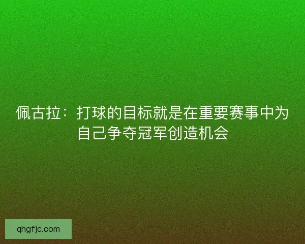 佩古拉:打球的目标就是在重要赛事中为自己争夺冠军创造机会 佩古拉:打球的目标就是在重要赛事中为自己争夺冠军创造机会