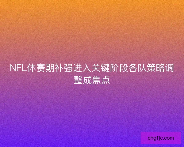 NFL休赛期补强进入关键阶段各队策略调整成焦点