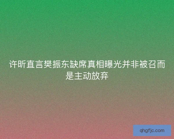 许昕直言樊振东缺席真相曝光并非被召而是主动放弃